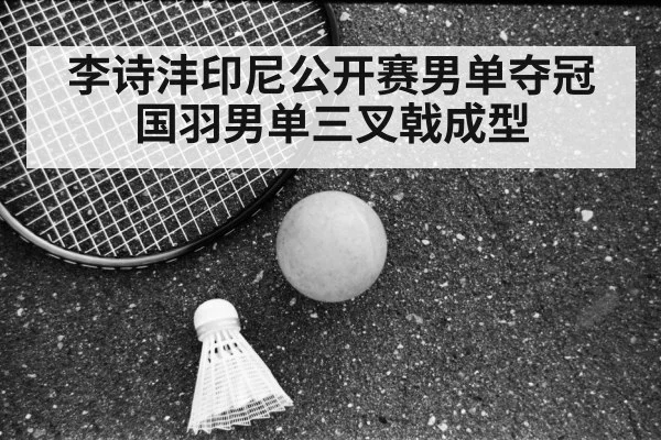 Li Shifeng badminton