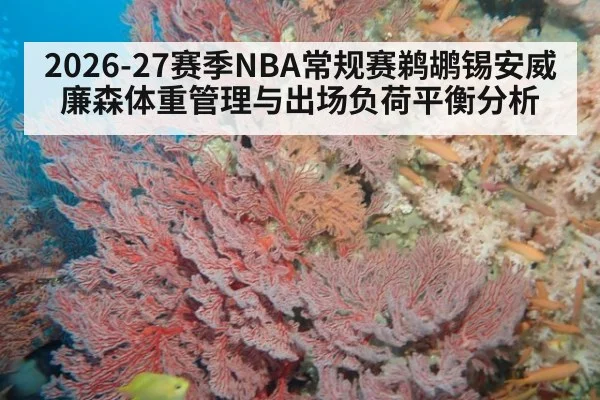 2026-27赛季NBA常规赛鹈鹕锡安威廉森体重管理与出场负荷平衡分析